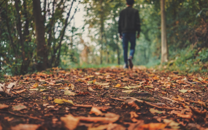 Persona de pie sobre hojas caídas de otoño de tonos cafés en el suelo de un bosque, al aire libre.