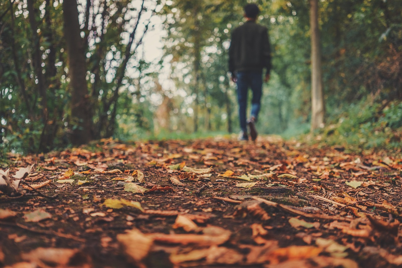 Persona de pie sobre hojas caídas de otoño de tonos cafés en el suelo de un bosque, al aire libre.