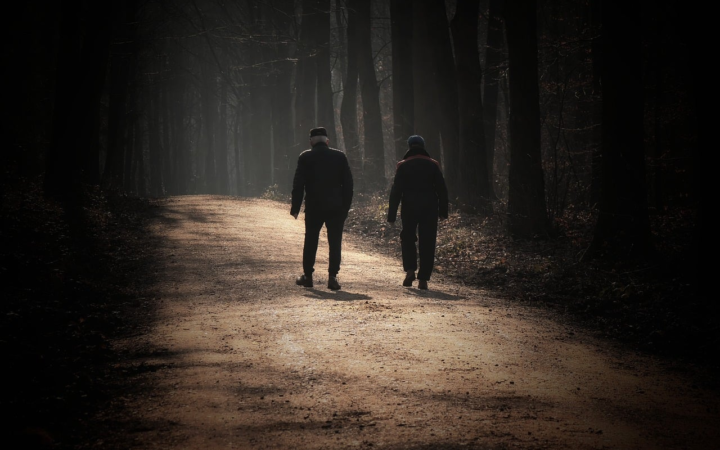 Adultos mayores caminando por un bosque con la luz de la mañana entre la sombra de los árboles, paisaje natural.