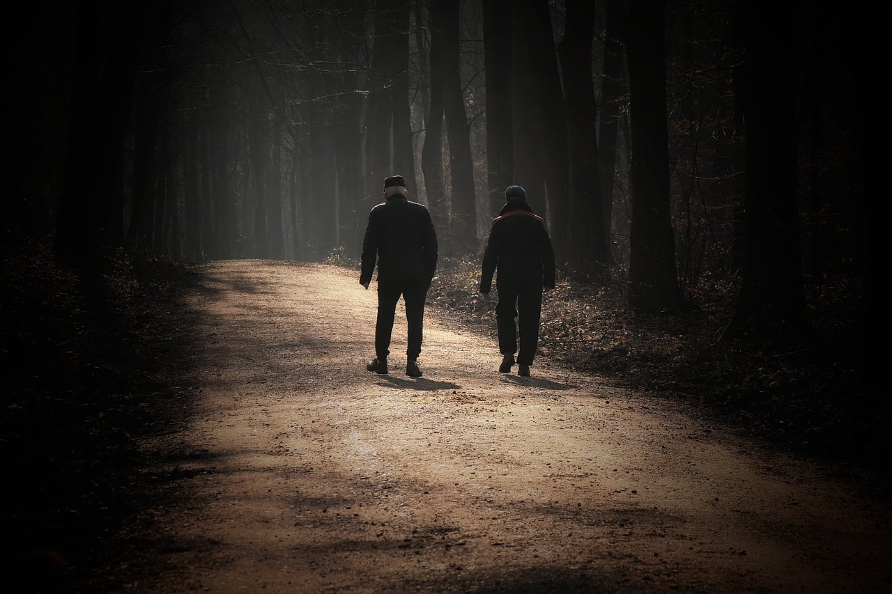 Adultos mayores caminando por un bosque con la luz de la mañana entre la sombra de los árboles, paisaje natural.