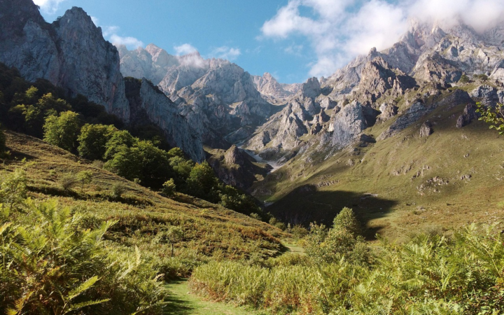 Valle con prados y campos rodeado de montañas rocosas y cordilleras, con plantas y árboles en un paisaje natural.